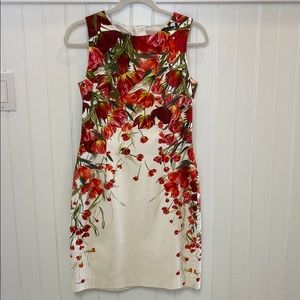 Hobbs Fiona Dress, white with Floral design.